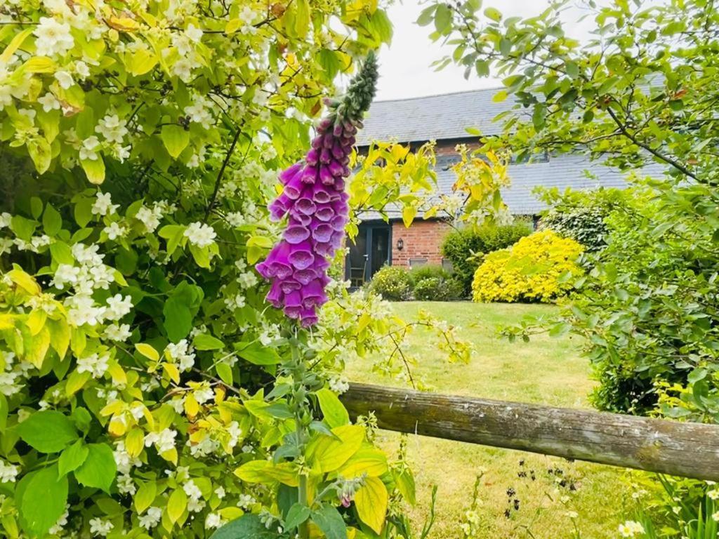 North Mere Rural Cottages Kenilworth Exterior photo